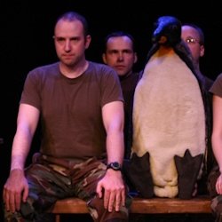 Squawk by John Heimbuch | Production History | Walking Shadow Theatre Company